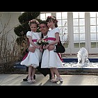 img_1537.jpg
